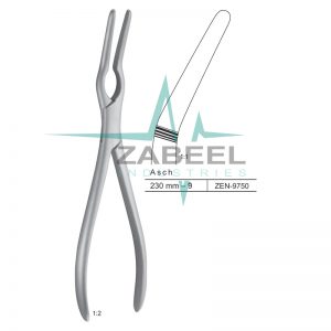 Asch Septum Forceps Zabeel