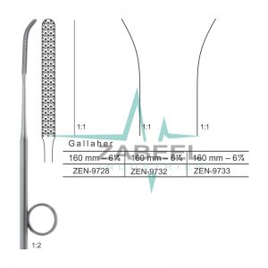 Gallaher Nasal Rasps Zabeel