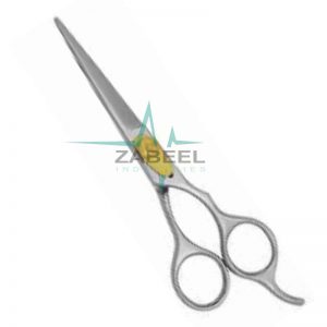 Professional Hair Dressing Scissor Silver Zabeel