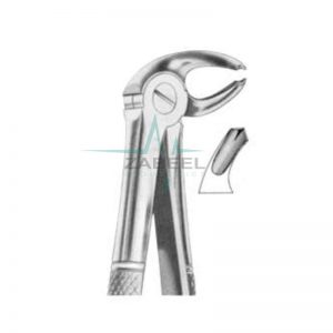 Extracting Forceps English Pattern Fig. 23 Lower Molars Right Zabeel