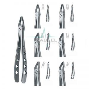 Extracting Forceps Stainless Steel Zabeel