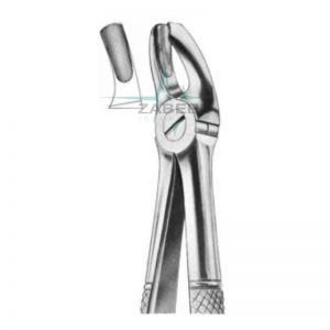 Left Upper Molars Forceps ZabeelLeft Upper Molars Forceps Zabeel