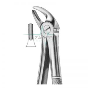 Lower Incisors & Canines Forceps Zabeel