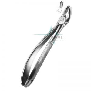 Right Upper Molars Forceps Fig.17 Zabeel