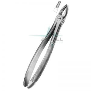 Upper Central & Canines Forceps Zabeel