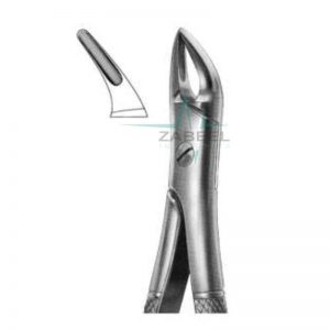 Upper Roots (Narrow Beak) Forceps Zabeel